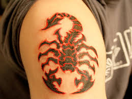 Scorpion Tattoo Designs for Men